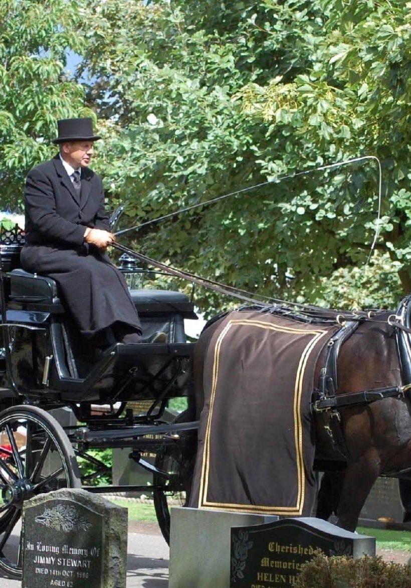 Man on horse drawn carriage with coffin in Falkirk